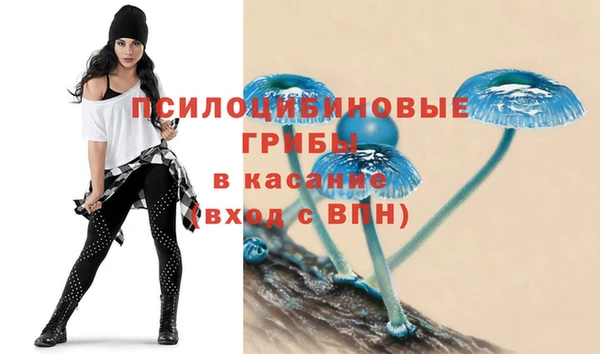 герыч Кодинск