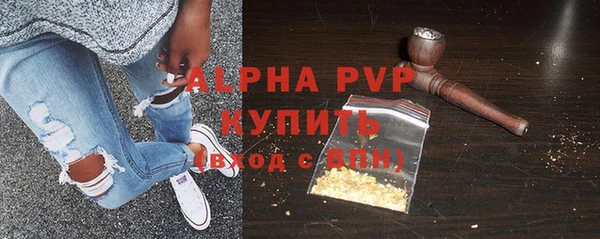 шишки Коряжма