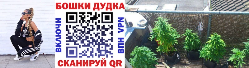 Купить где  Губкинский  Канабис LSD WEED 